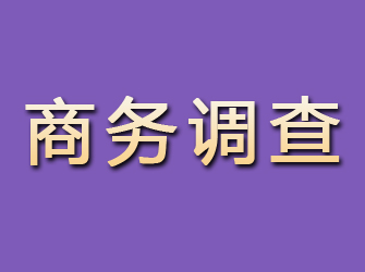 福安商务调查